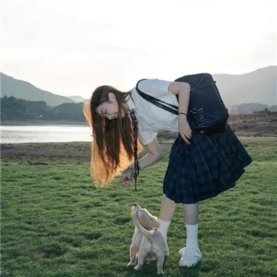 房子的故事