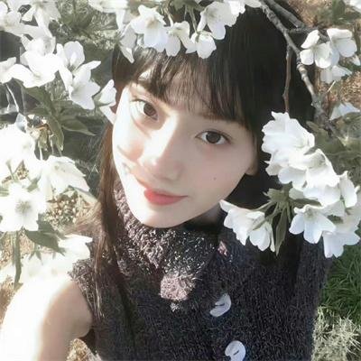 芒果和红色轮椅