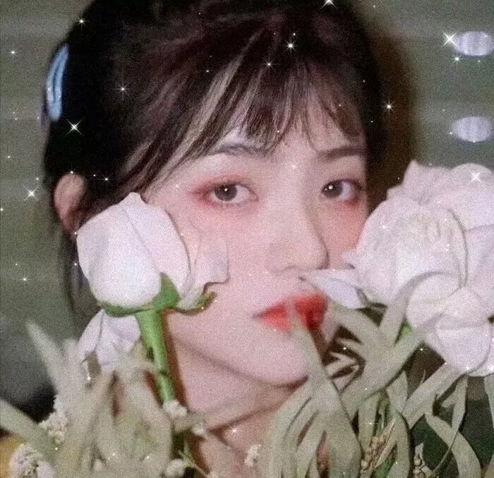 夜与雾
